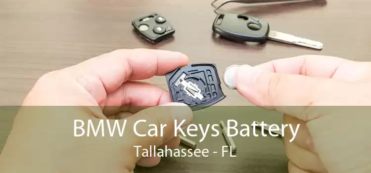 BMW Car Keys Battery Tallahassee - FL