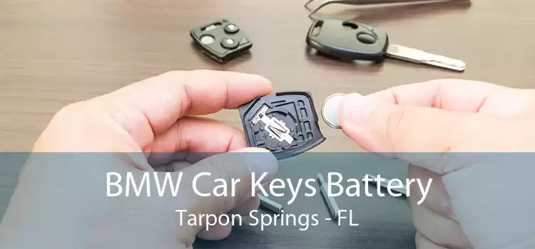 BMW Car Keys Battery Tarpon Springs - FL