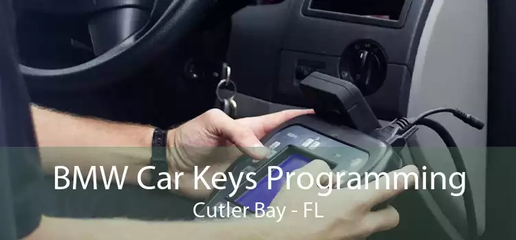 BMW Car Keys Programming Cutler Bay - FL