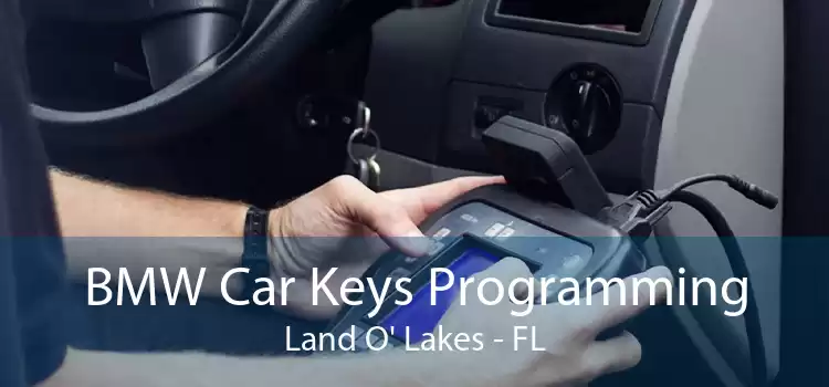 BMW Car Keys Programming Land O' Lakes - FL