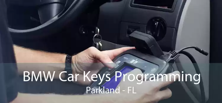BMW Car Keys Programming Parkland - FL