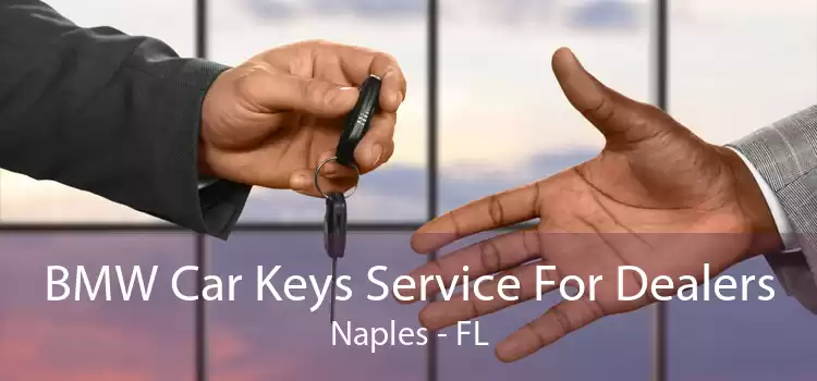 BMW Car Keys Service For Dealers Naples - FL