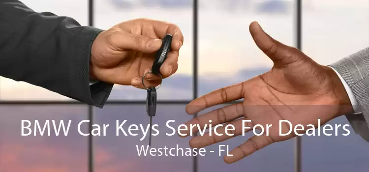 BMW Car Keys Service For Dealers Westchase - FL