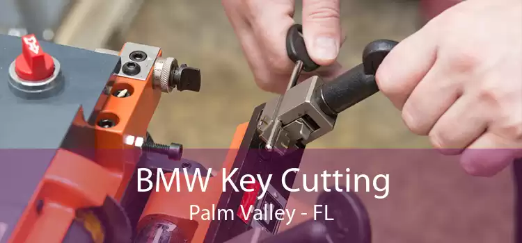BMW Key Cutting Palm Valley - FL