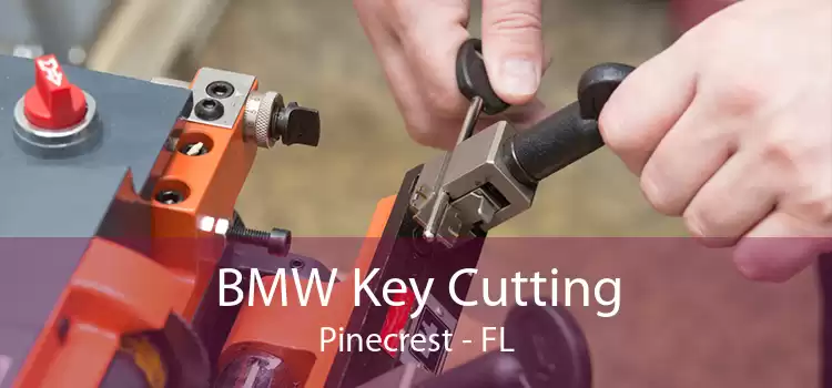 BMW Key Cutting Pinecrest - FL