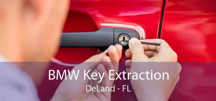 BMW Key Extraction DeLand - FL