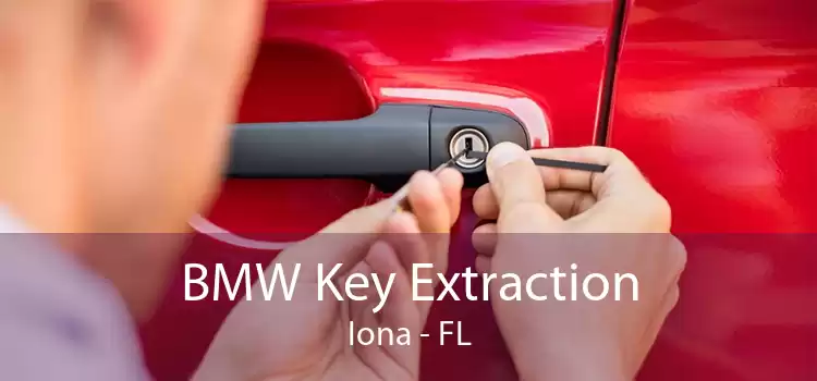 BMW Key Extraction Iona - FL