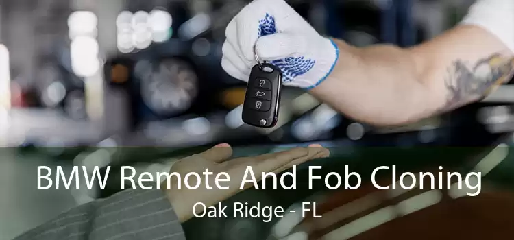 BMW Remote And Fob Cloning Oak Ridge - FL