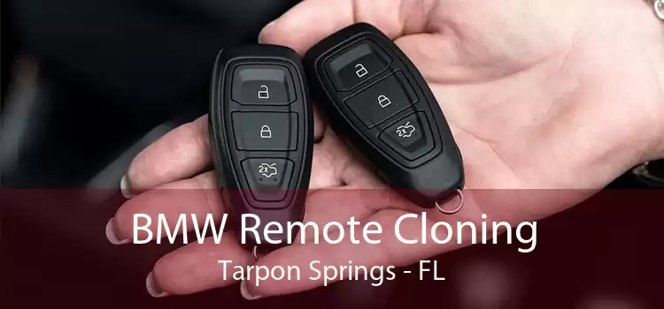 BMW Remote Cloning Tarpon Springs - FL