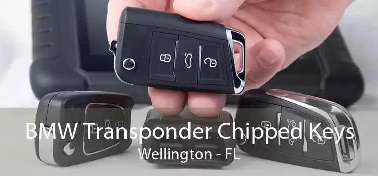 BMW Transponder Chipped Keys Wellington - FL