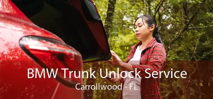 BMW Trunk Unlock Service Carrollwood - FL