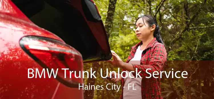 BMW Trunk Unlock Service Haines City - FL