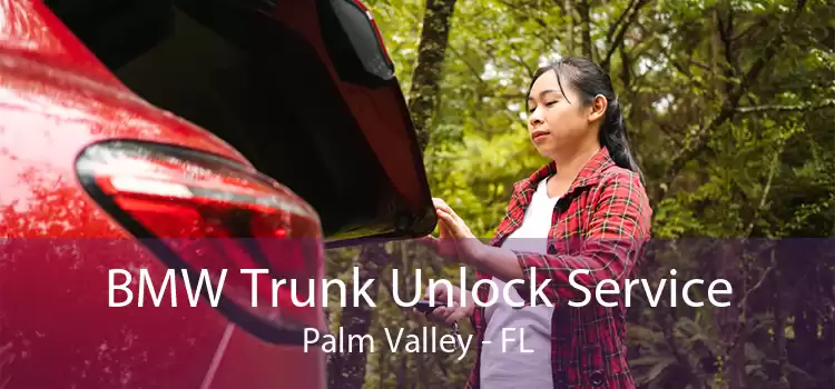 BMW Trunk Unlock Service Palm Valley - FL