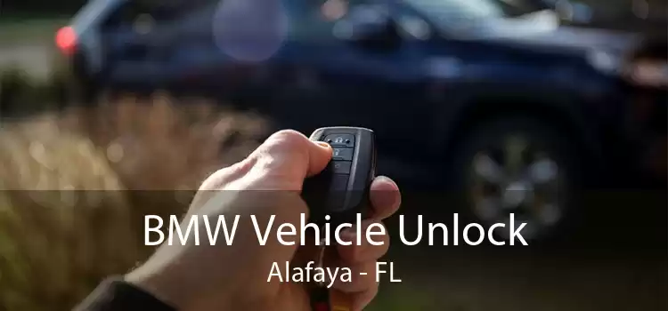 BMW Vehicle Unlock Alafaya - FL