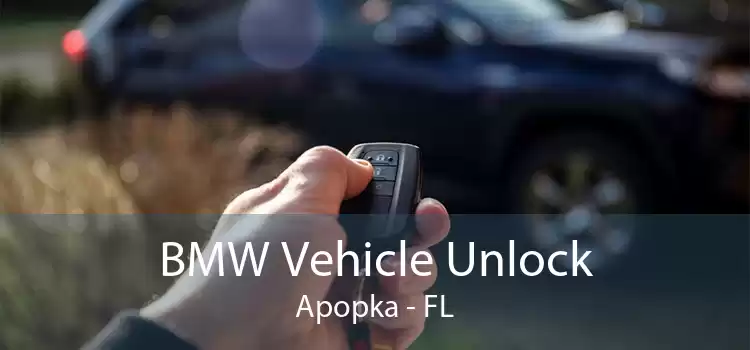 BMW Vehicle Unlock Apopka - FL