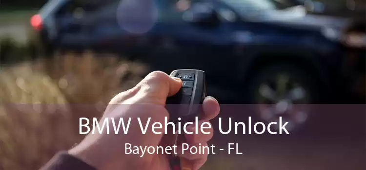 BMW Vehicle Unlock Bayonet Point - FL