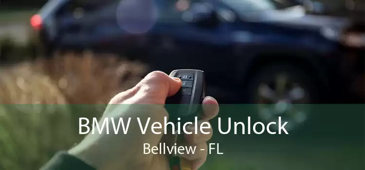 BMW Vehicle Unlock Bellview - FL