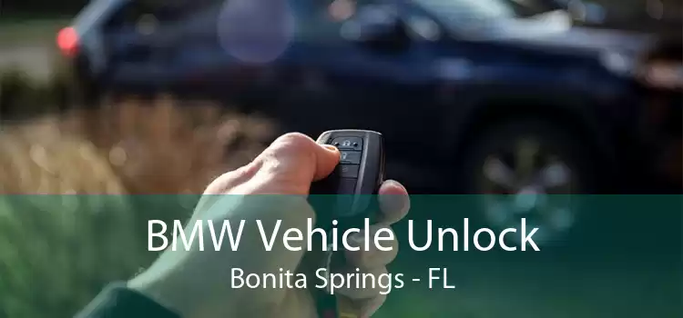 BMW Vehicle Unlock Bonita Springs - FL