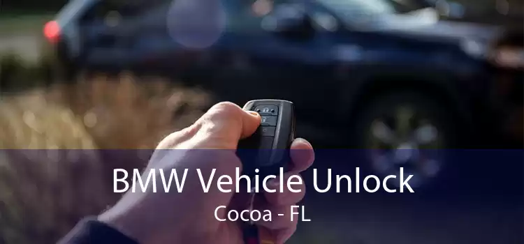 BMW Vehicle Unlock Cocoa - FL