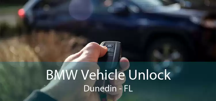 BMW Vehicle Unlock Dunedin - FL