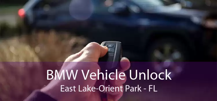 BMW Vehicle Unlock East Lake-Orient Park - FL