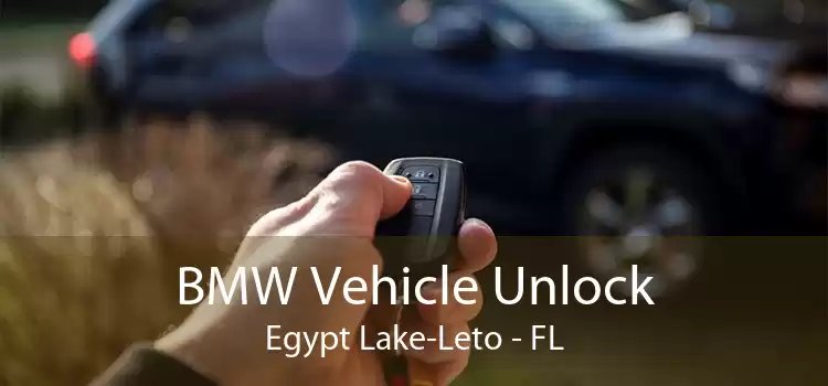 BMW Vehicle Unlock Egypt Lake-Leto - FL