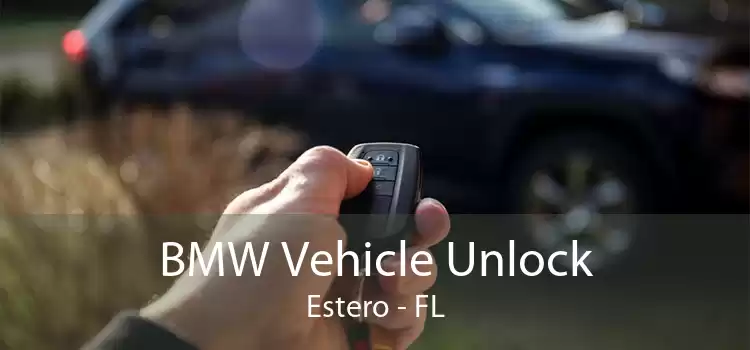 BMW Vehicle Unlock Estero - FL