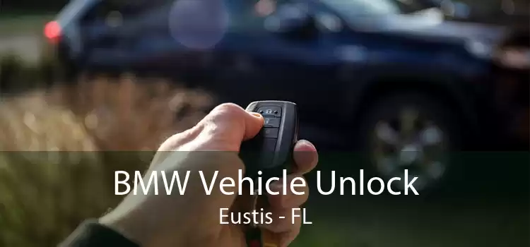 BMW Vehicle Unlock Eustis - FL