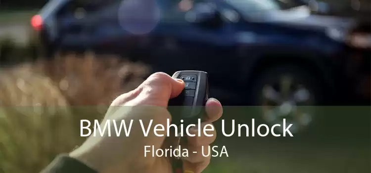 BMW Vehicle Unlock Florida - USA