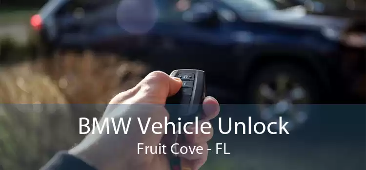 BMW Vehicle Unlock Fruit Cove - FL