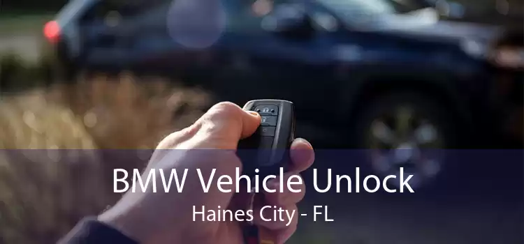 BMW Vehicle Unlock Haines City - FL