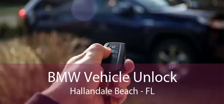 BMW Vehicle Unlock Hallandale Beach - FL