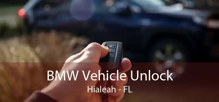 BMW Vehicle Unlock Hialeah - FL