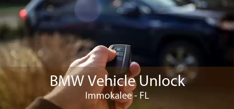 BMW Vehicle Unlock Immokalee - FL