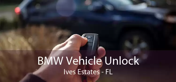BMW Vehicle Unlock Ives Estates - FL