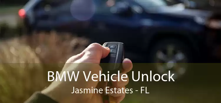 BMW Vehicle Unlock Jasmine Estates - FL