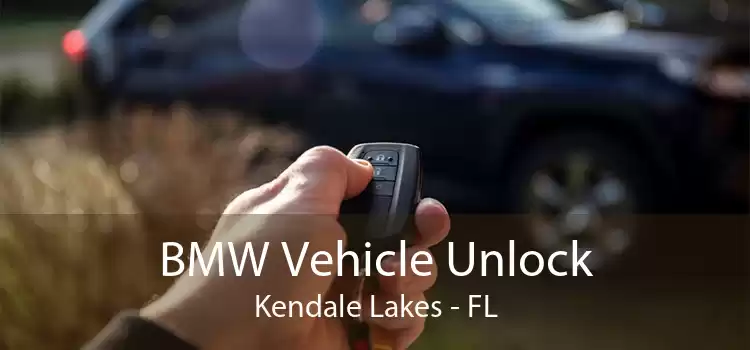 BMW Vehicle Unlock Kendale Lakes - FL