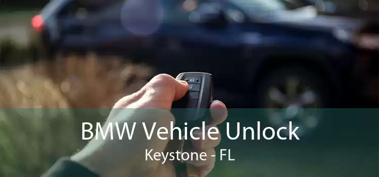 BMW Vehicle Unlock Keystone - FL