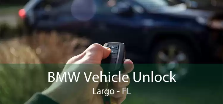 BMW Vehicle Unlock Largo - FL