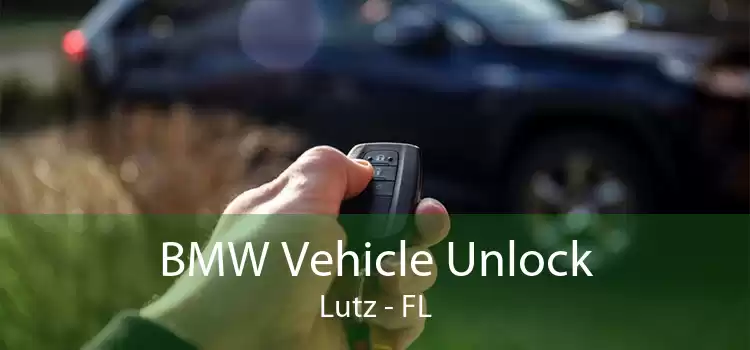 BMW Vehicle Unlock Lutz - FL
