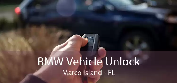 BMW Vehicle Unlock Marco Island - FL