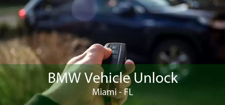BMW Vehicle Unlock Miami - FL