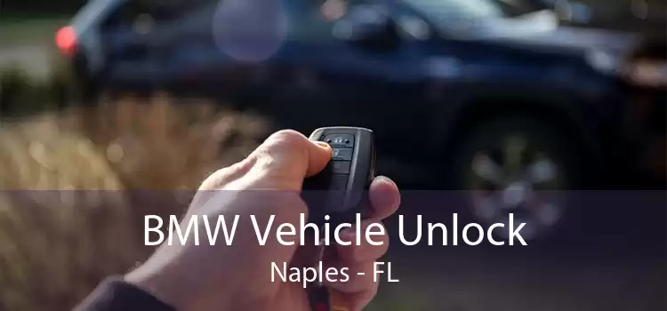 BMW Vehicle Unlock Naples - FL