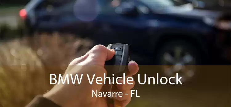 BMW Vehicle Unlock Navarre - FL