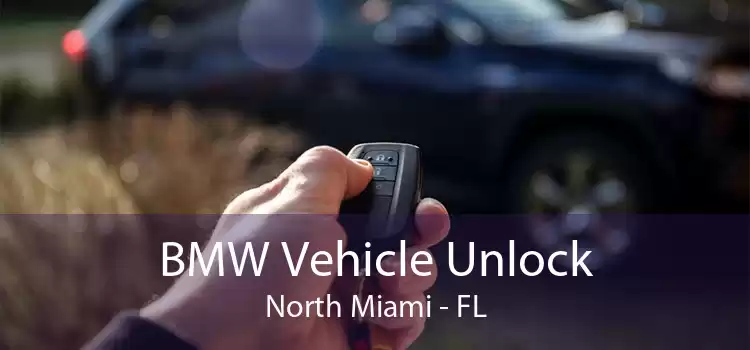 BMW Vehicle Unlock North Miami - FL