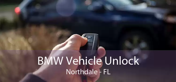 BMW Vehicle Unlock Northdale - FL