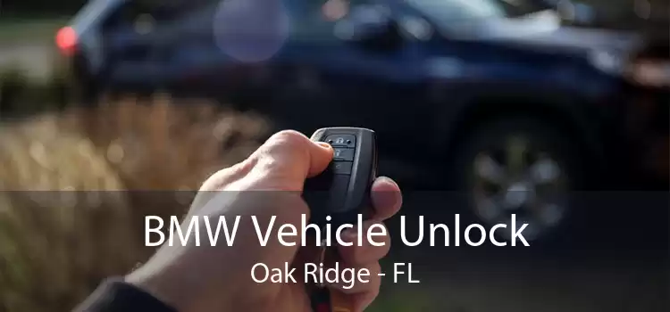 BMW Vehicle Unlock Oak Ridge - FL
