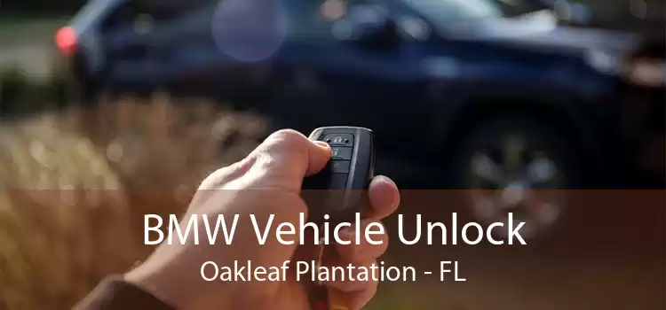 BMW Vehicle Unlock Oakleaf Plantation - FL