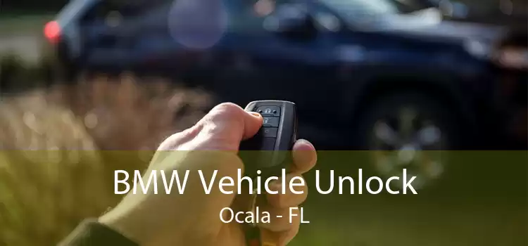 BMW Vehicle Unlock Ocala - FL