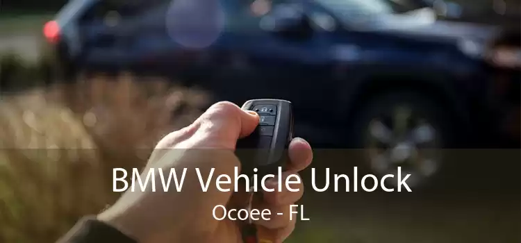 BMW Vehicle Unlock Ocoee - FL